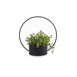 La bougie qui devient plante fleur'coton