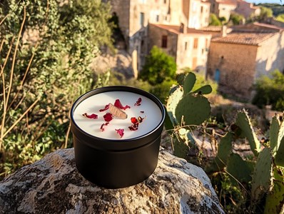 Bougie qui devient plante fleurcerisier