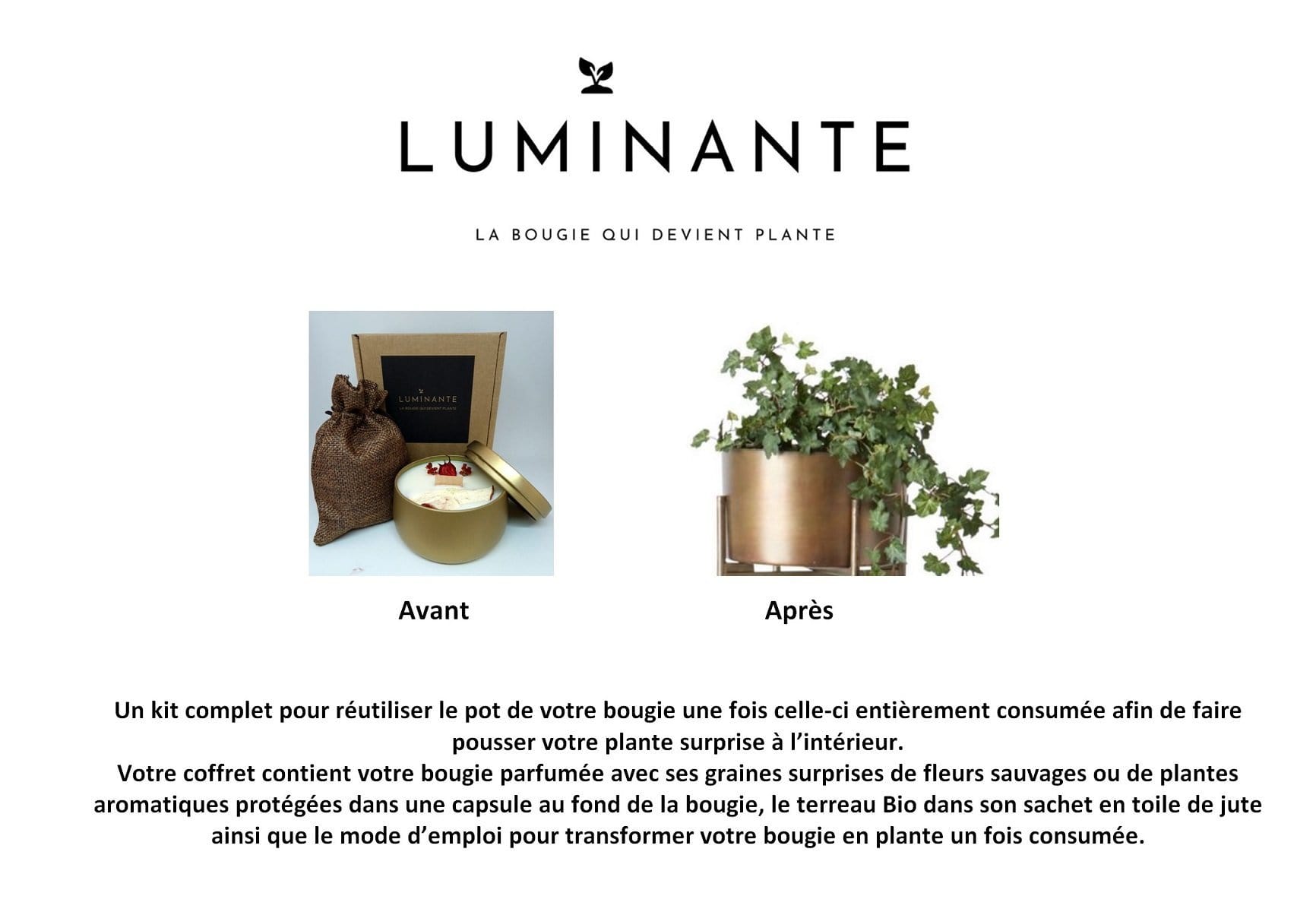 Luminante - La bougie qui devient plante - Senteur Pomme d'Amour