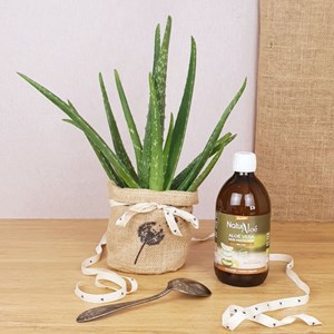 Coffret d'une aloé vera et son jus bio