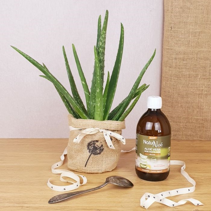 Com'La Nature - Coffret d'une aloé vera et son jus bio