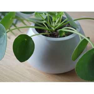 Brut - cache-pot béton naturel