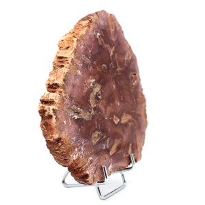 Bois pétrifié 490gr 140mm de madagascar