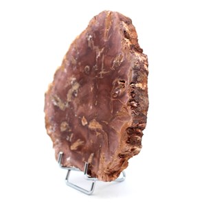 Bois pétrifié 490gr 140mm de madagascar