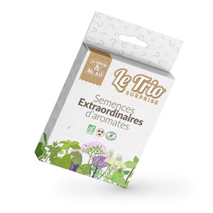 Le trio surprise - aromates