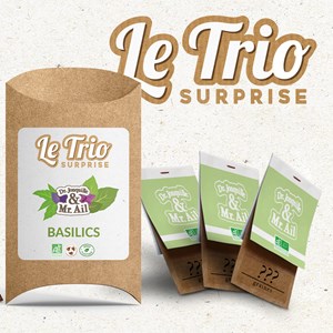 Le trio surprise - basilic