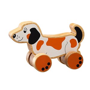 Chien à roulettes lanka kade