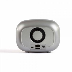 Radio fm et enceinte bluetooth compacte