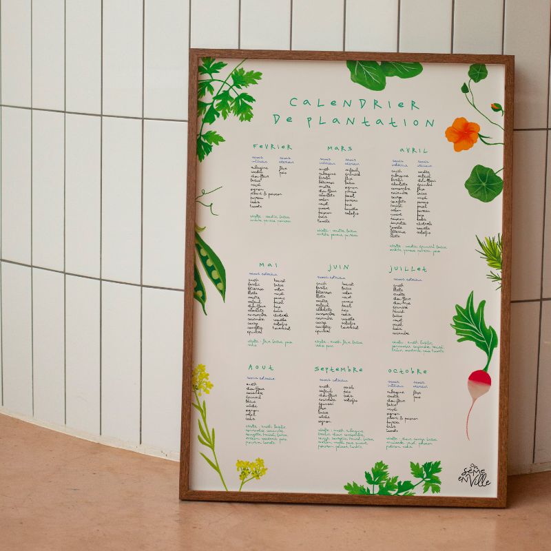 On Sème en Ville - Calendrier de plantation