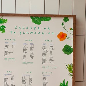 Calendrier de plantation