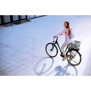 Panier porte-bagage pour vélo - van gogh