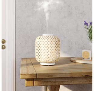 Vanelia : diffuseur ultrasonique