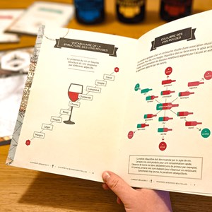 Coffret oenoludique vins du monde