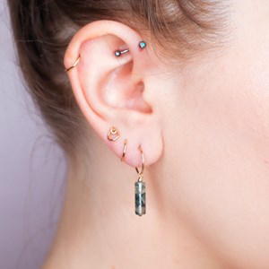 Boucles d'oreilles - betula - or