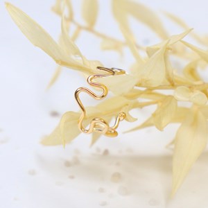 Boucles d'oreilles - amazone - or