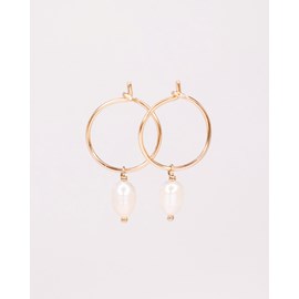 Boucles d'oreilles - gallinava - or