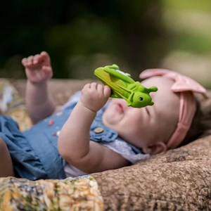 Sauterelle en caoutchouc naturel