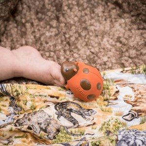 Coccinelle en caoutchouc naturel