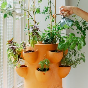 Potager autofertile ceercle 1 étage