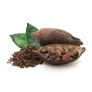 Cacaotines chocolat BIO
