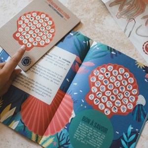 Enquête par courrier - fonds marins