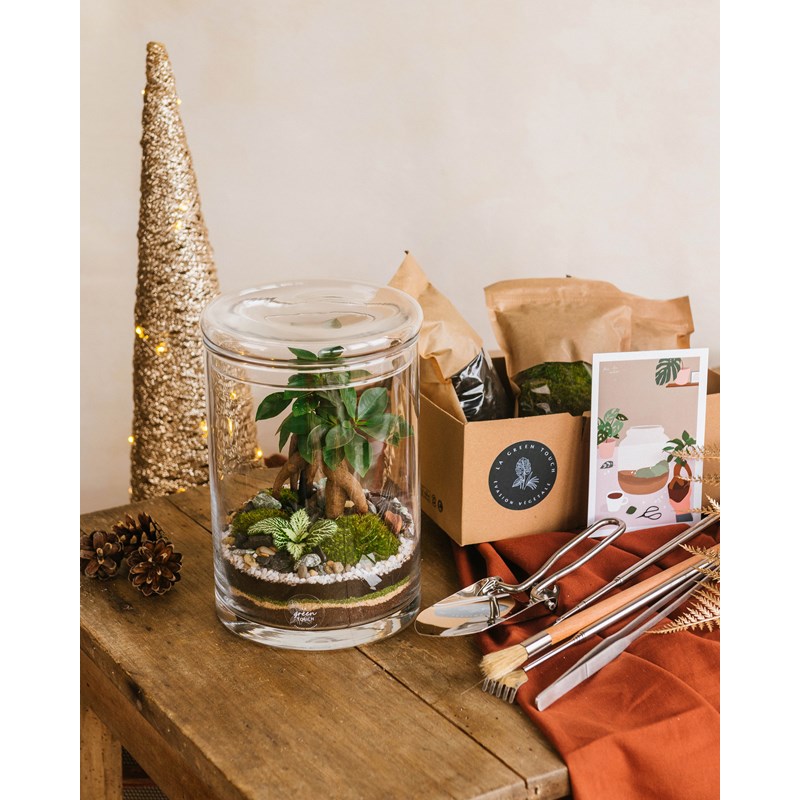 Terrarium plante kit Nature & Découvertes