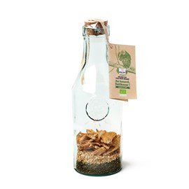 Au hasard Balthazar BIO (ananas-citron)