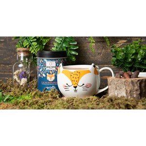 Coffret cacao BIO Écureuil (noisette)