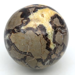 Septaria 780gr 810mm de madagascar