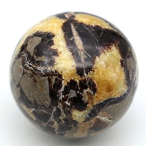 Septaria 780gr 810mm de madagascar