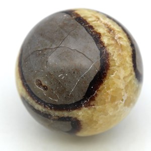 Septaria 530gr 690mm de madagascar
