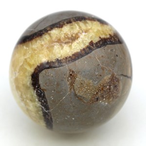 Septaria 530gr 690mm de madagascar