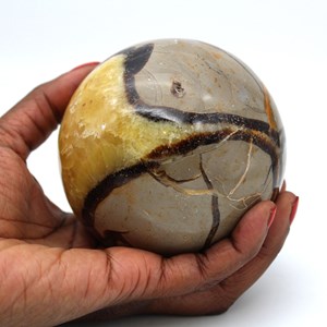 Septaria 1000gr 870mm de madagascar