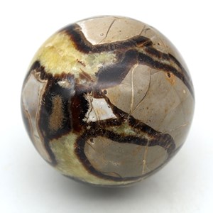 Septaria 1000gr 870mm de madagascar