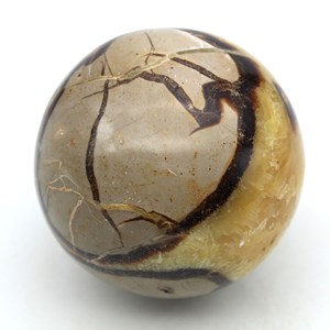 Septaria 1000gr 870mm de madagascar