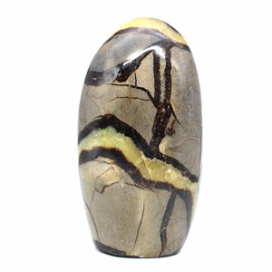 Septaria 2550gr 190mm de madagascar
