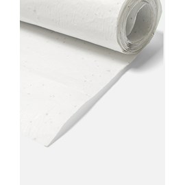 Rouleau de papier cadeau ensemencé 3m