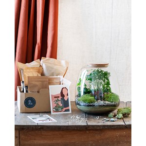 Terrarium en kit - cayenne palmier