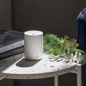 Diffuseur par ventilation ion blanc