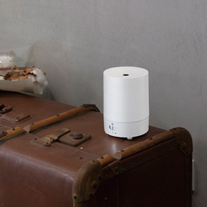 Diffuseur par ventilation ion blanc