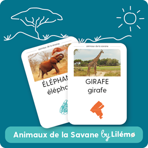 Lilémø – pack animaux de la savane