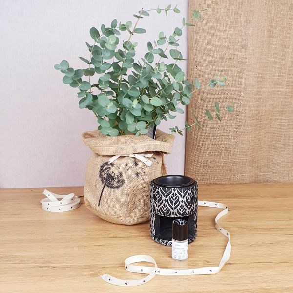 Com'La Nature - Coffret eucalyptus, brûle parfum, huile