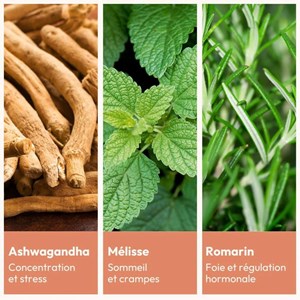 Essentiels équilibre féminin