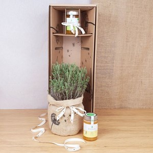 Offret, un plant de thym, son miel bio