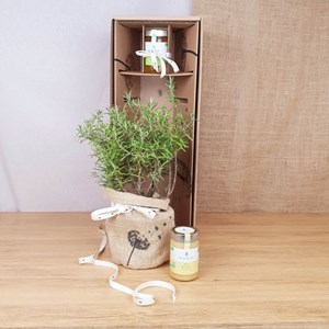 Coffret d'un romarin, avec son miel bio