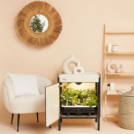 Potager d'intérieur liv