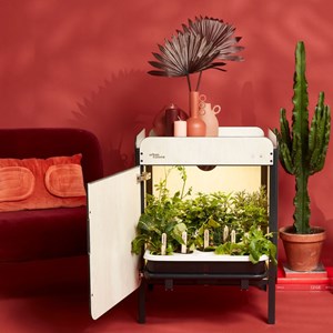 Potager d'intérieur liv