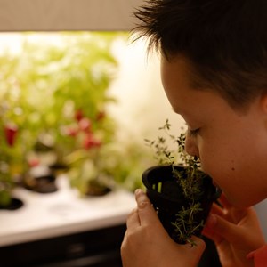 Potager d'intérieur liv