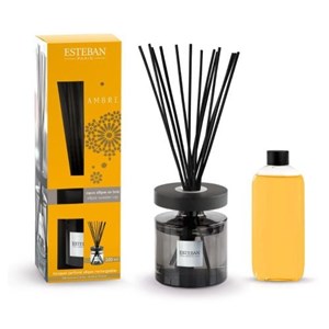 Bouquet parfumé ellipse 200ml ambre