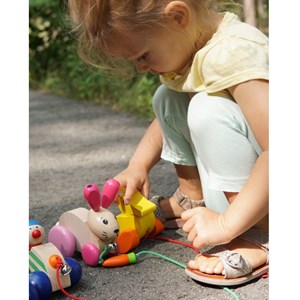 Hanna hoppel lapin en bois à tirer